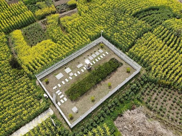 僅需2周，水質就穩(wěn)定達標！這種一體化生活污水處理設備供不應求